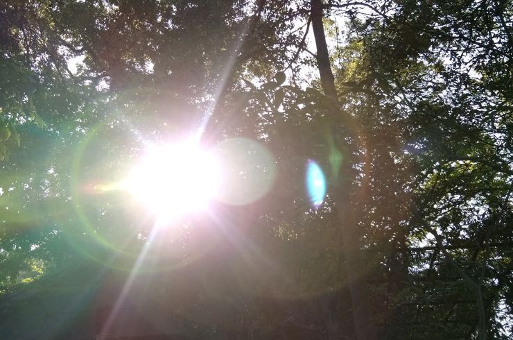 今日の運勢 今日の占い 占い 占星術 マヤ占星術 気学 運勢 天神で占い