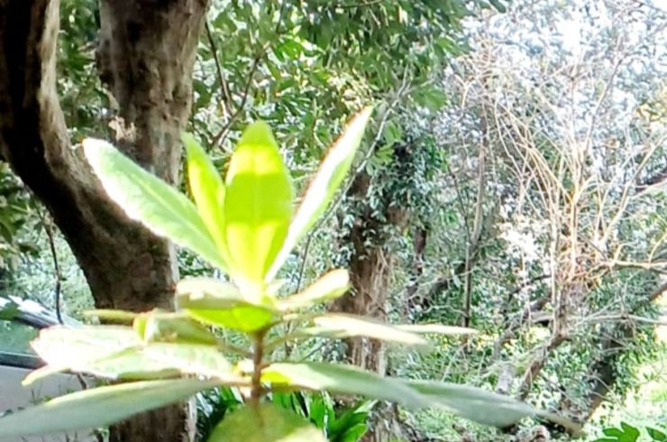 Screenshot_20250101-103436_Gallery