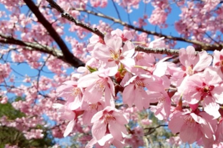 Screenshot_20250330_151440_Gallery