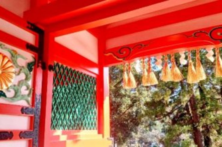 Screenshot_20250331_150837_Gallery